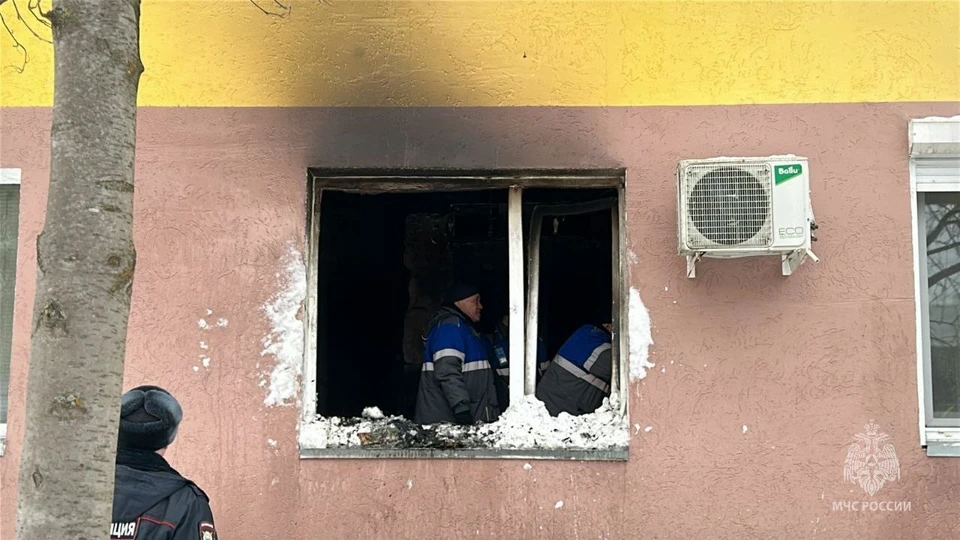 Причина возгорания устанавливается специалистами.
