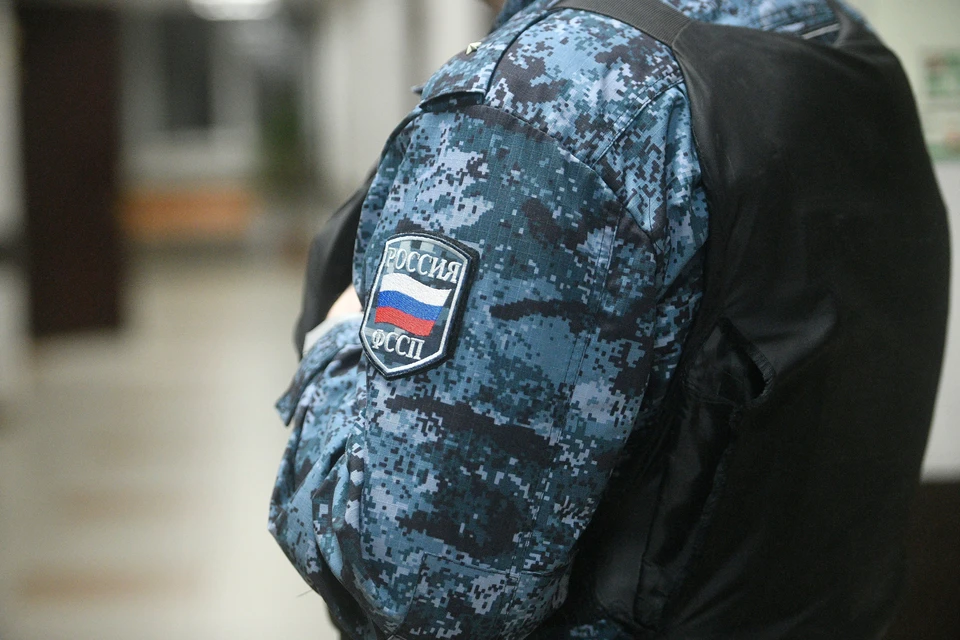 Супруга должника пыталась ввести в заблуждение приставов, убеждая их, что мужчины нет дома