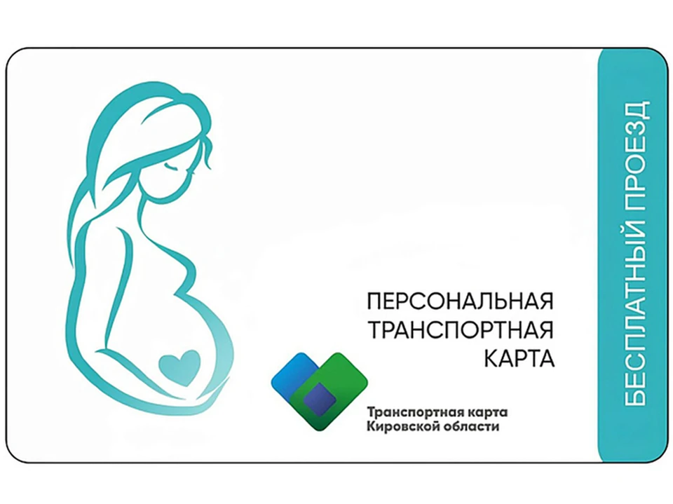 Кировчанке нужно получить справку, которая подтверждает беременность. Фото: правительство Кировской области