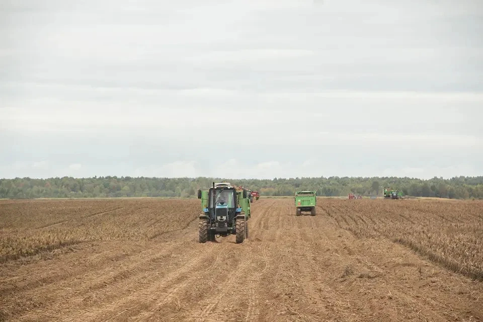 Все меры поддержки в одном месте.
