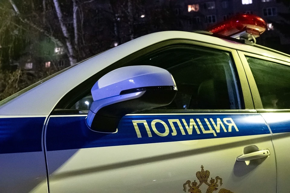 55-летняя жительница Хакасии ударила сожителя кухонным ножом