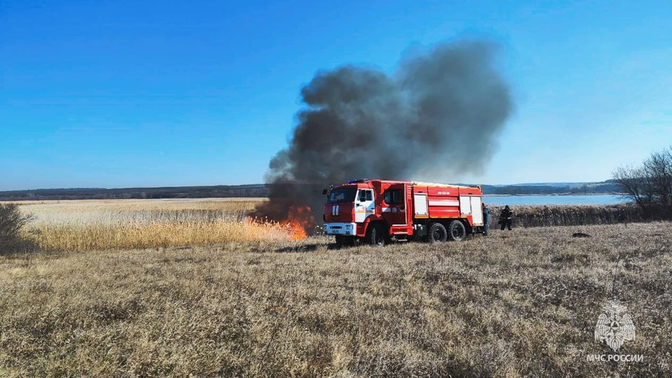 За два дня в ЛНР уничтожено более 100 гектаров сухой травы и камыша. ФОТО: МЧС России