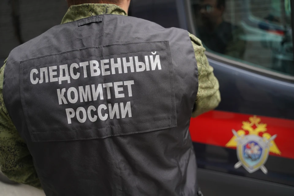 Ведется расследование уголовного дела.