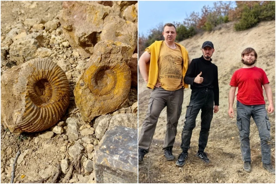В Крыму палеонтологи начали новый сезон. Фото: Окаменелости 2.0: Крымская версия/Tg