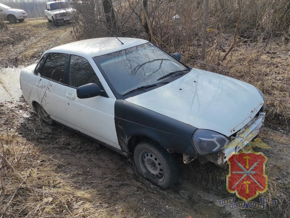 Двое туляков угнали отечественную легковушку в поселке Обидимо