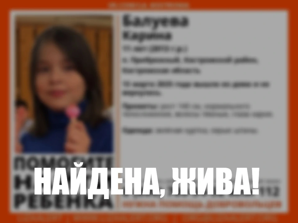 Фото: ДПСО "Лиза Алерт" Костромской области