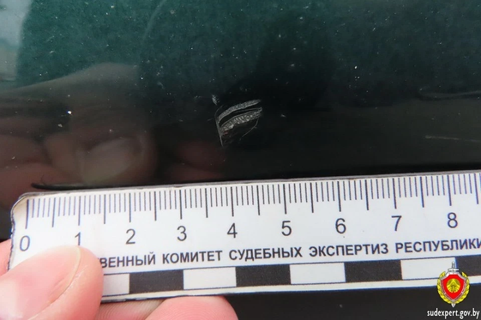 Благодаря результатам экспертизы пинчанке удалось доказать невиновность ребенка в повреждении автомобиля. Фото: ГКСЭ.