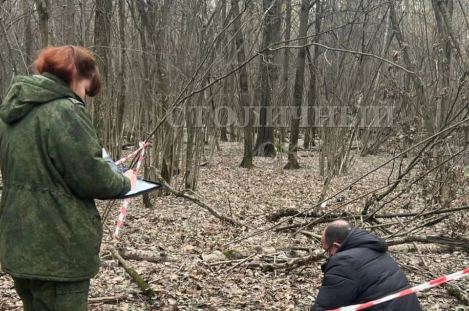 В ТиНАО трое молодых людей до смерти избили мужчину в Бутовском лесопарке