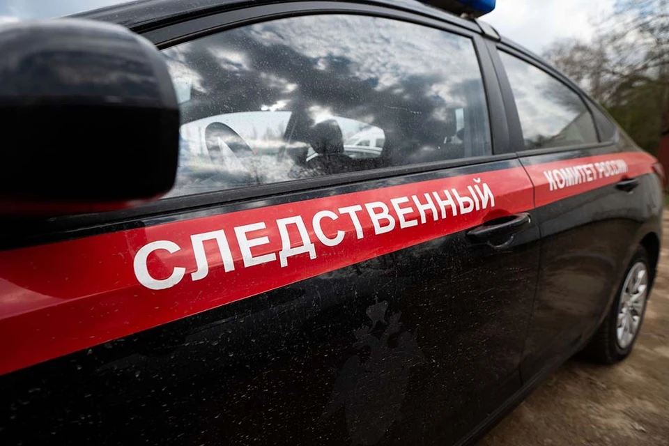 В результате ЧП пострадала маленькая девочка.