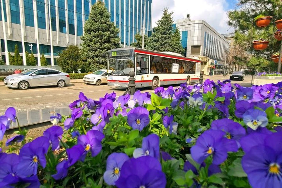 В Краснодаре 16 марта будет солнечно