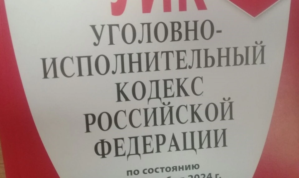 В соответствии с ч.1 ст.222.1 УК РФ (Незаконное хранение оружия) фигуранту грозит лишение свободы на срок от шести до восьми лет.