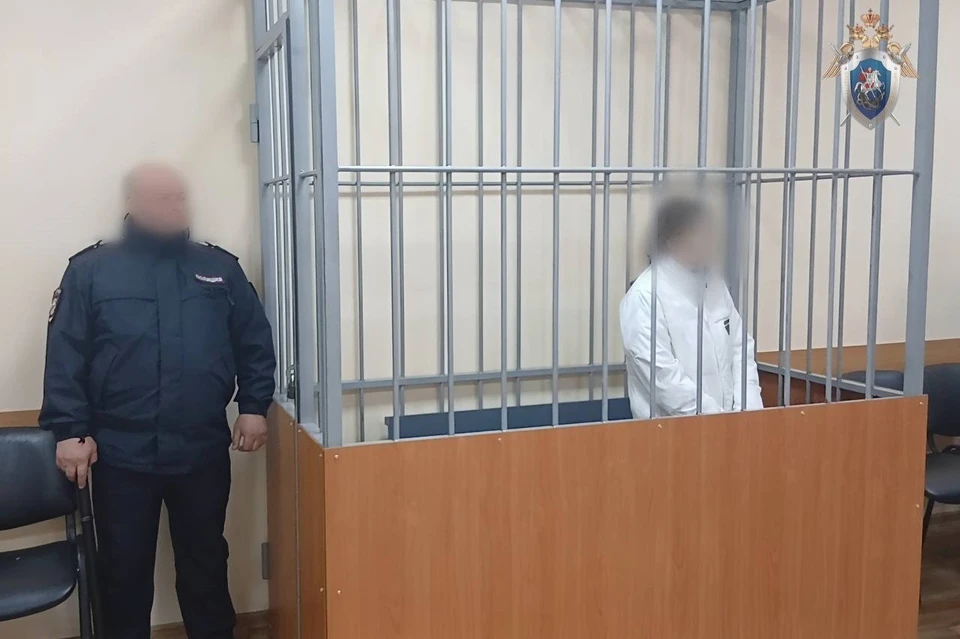 На Кубани мать, ударившую ножом младенца, заключили под стражу Фото: пресс-служба СУ СКР по Краснодарскому краю