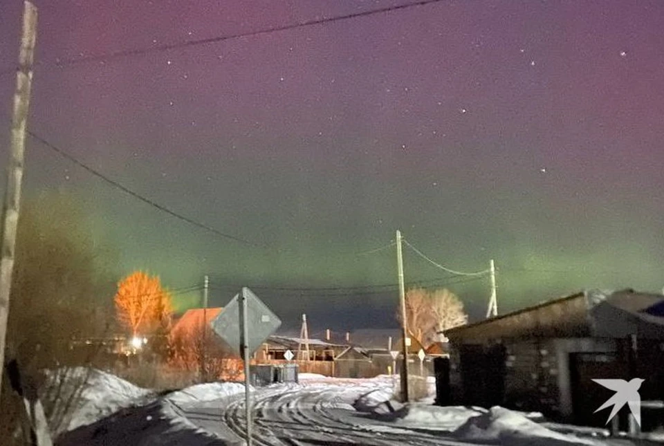 Полярное сияние заметили в Ирбите. Фото: читатель «КП»