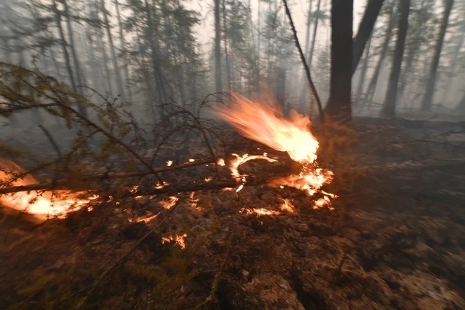 Весной и летом 2025 года риск пожаров особо высок