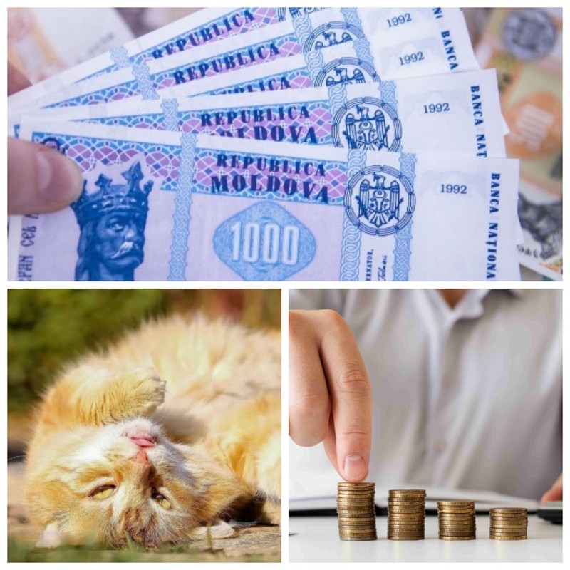 Главные новости в Молдове.