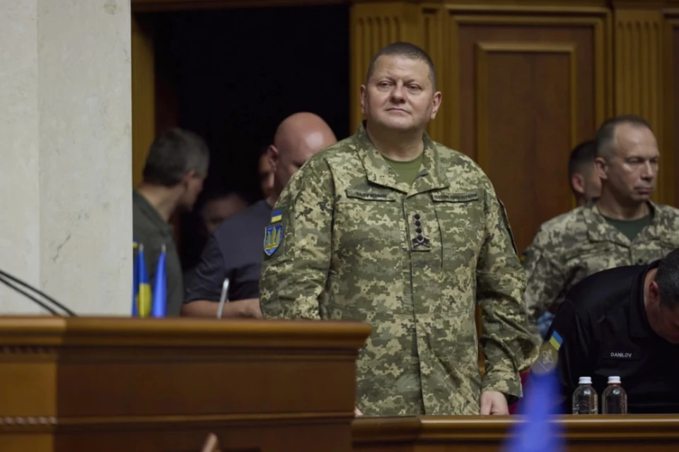 «Страна»: экс-главком ВСУ Залужный обошел Зеленского по уровню доверия украинцев