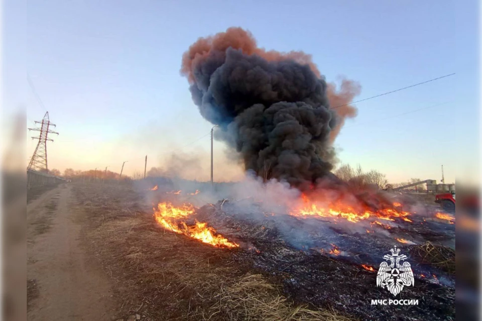 Не исключено, что причиной пожара стал поджог. Фото: МЧС Тверской области.