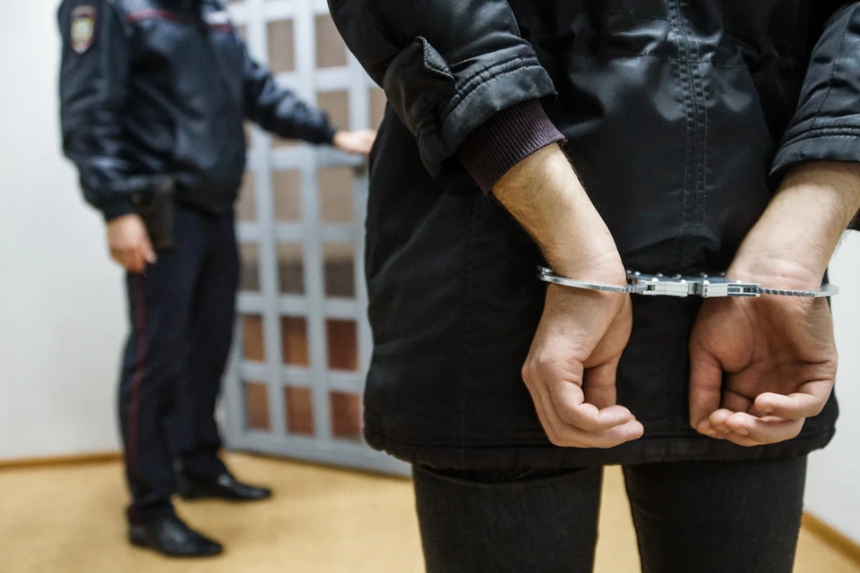 Скоро это дело рассмотрит суд, а пока мужчину заключили под стражу