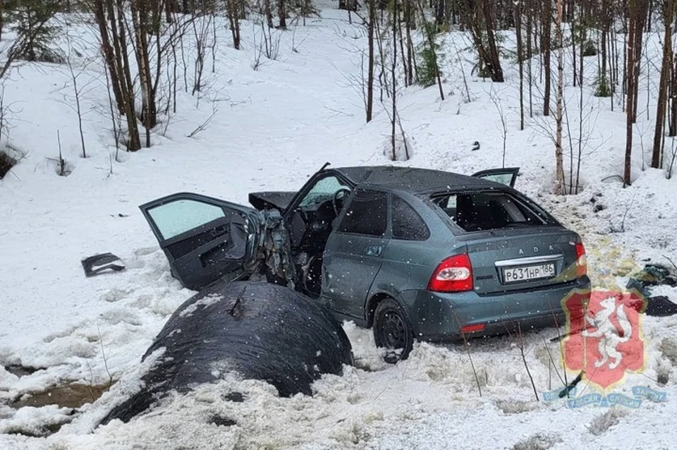 Пассажир и водитель были доставлены в больницу. Фото: Госавтоинспекция Свердловской области