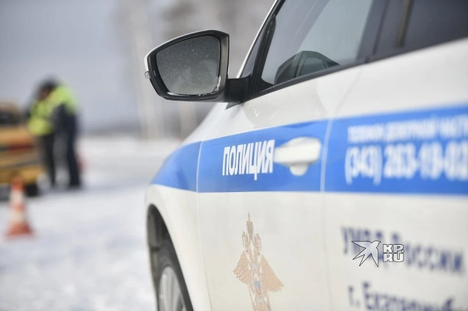 Полицейские проводят проверку
