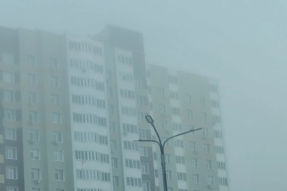 Ветер ожидается западного направления с переходом на южное
