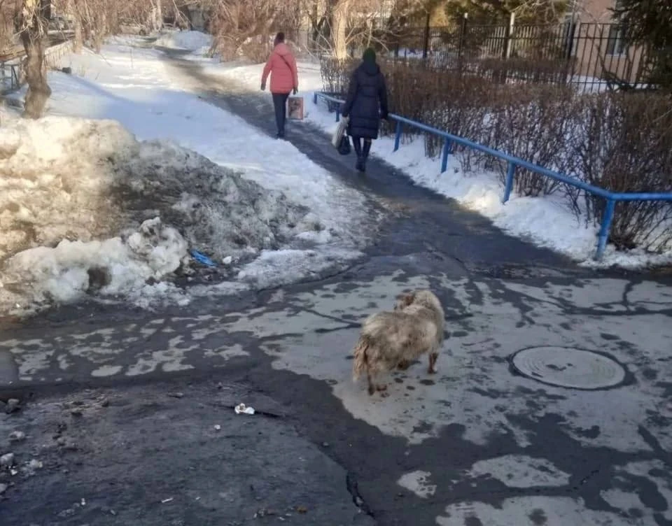 Фото: «Омск с огоньком»