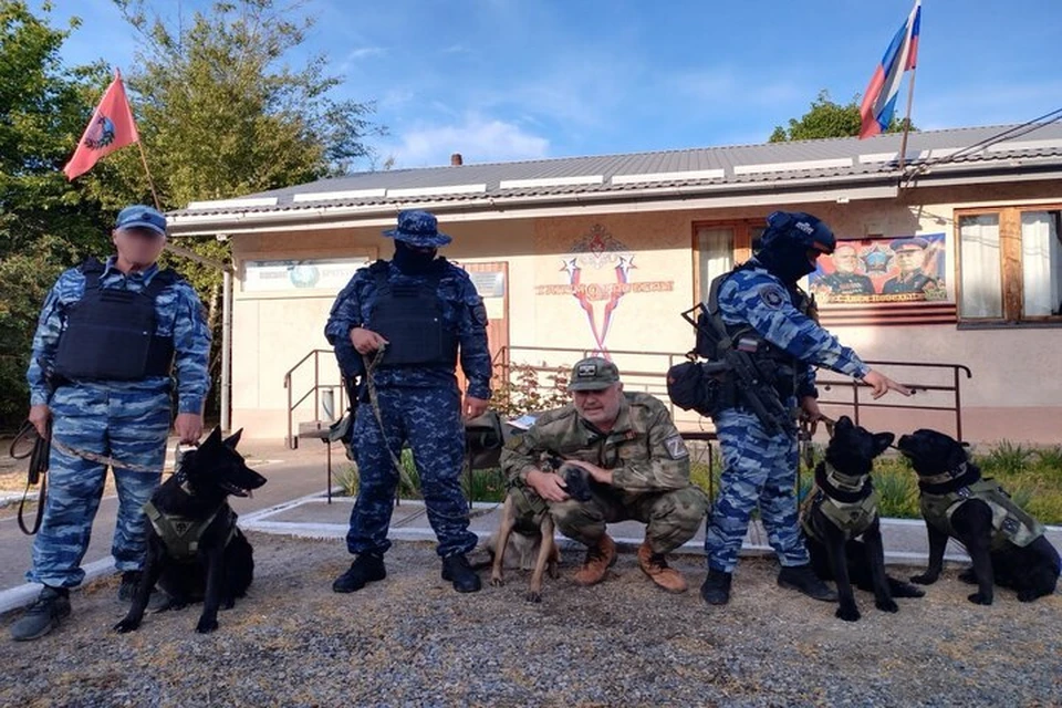 Второй год подряд защитную амуницию получают служебные собаки, работающие в регионе. Фото: тг-канал Игоря Качура