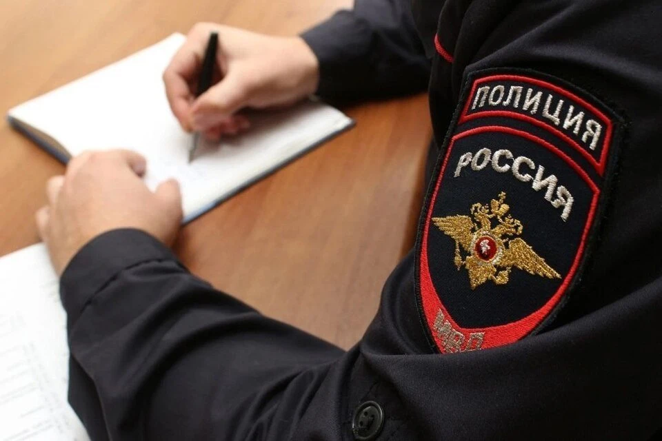 "Мастера на час" украли металл у доверчивой хозяйки. Фото: МВД Тверской области.