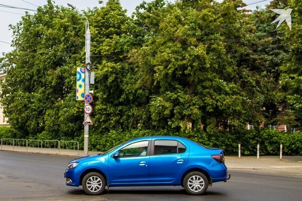 На участке высадят новые кусты и деревья