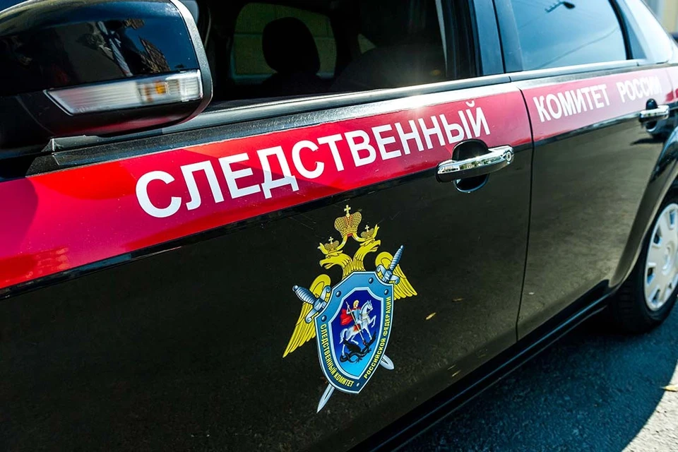 Следователи начали проверку.