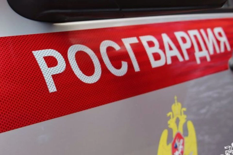 Фото: пресс-служба Управления Рогсвардии по Брянской области.