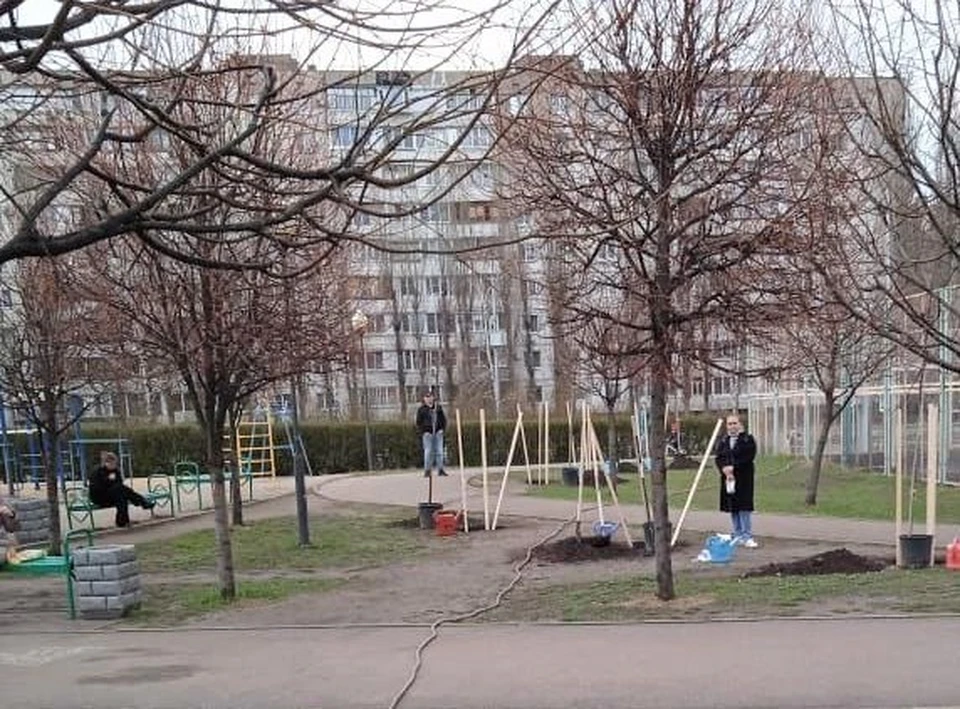 Фото городского управления экологии