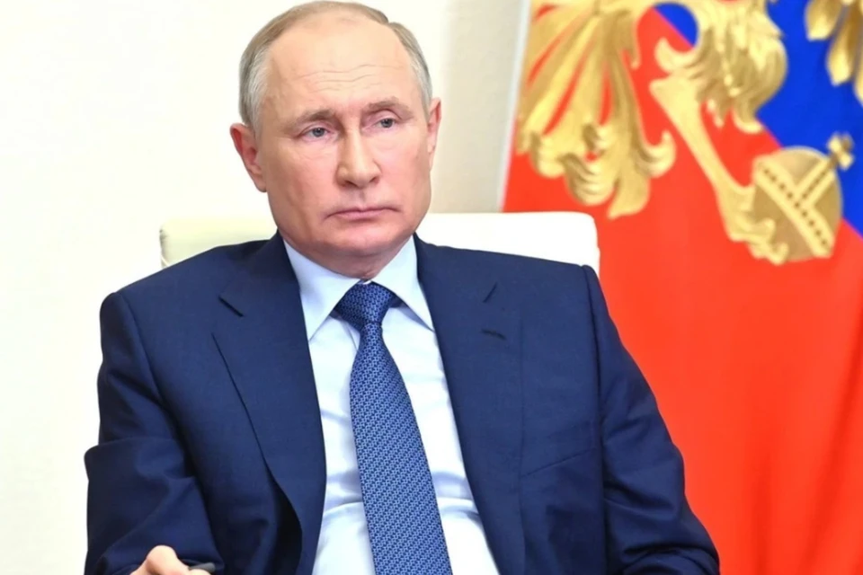 Путин принял участие в открытии деревоперерабатывающих заводов в трех регионах РФ