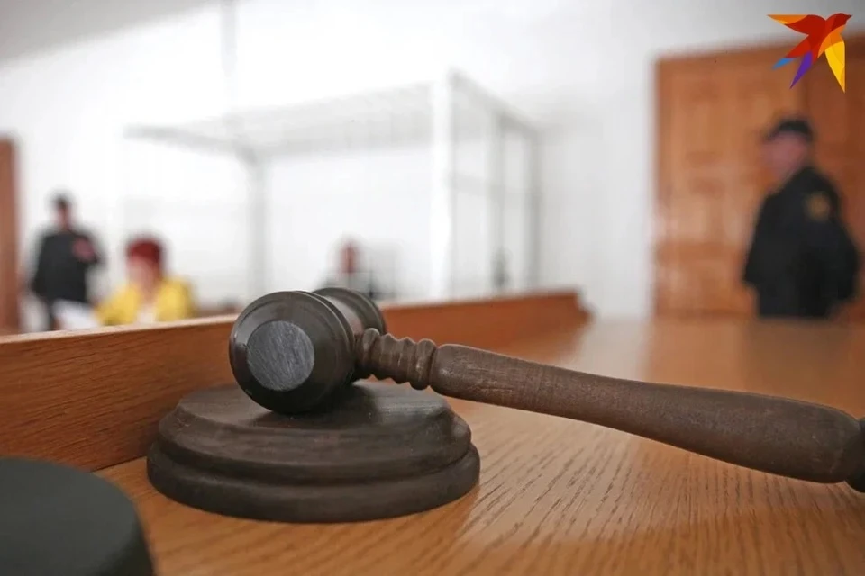Обвиняемых в поджоге вертолета в Остафьево приговорили к 12,5-18 годам колонии