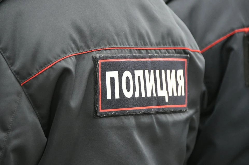 Безработный украл золотые украшения у жительницы села Дедилово Тульской области