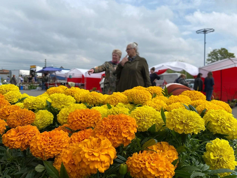 Фото правительства Курской области