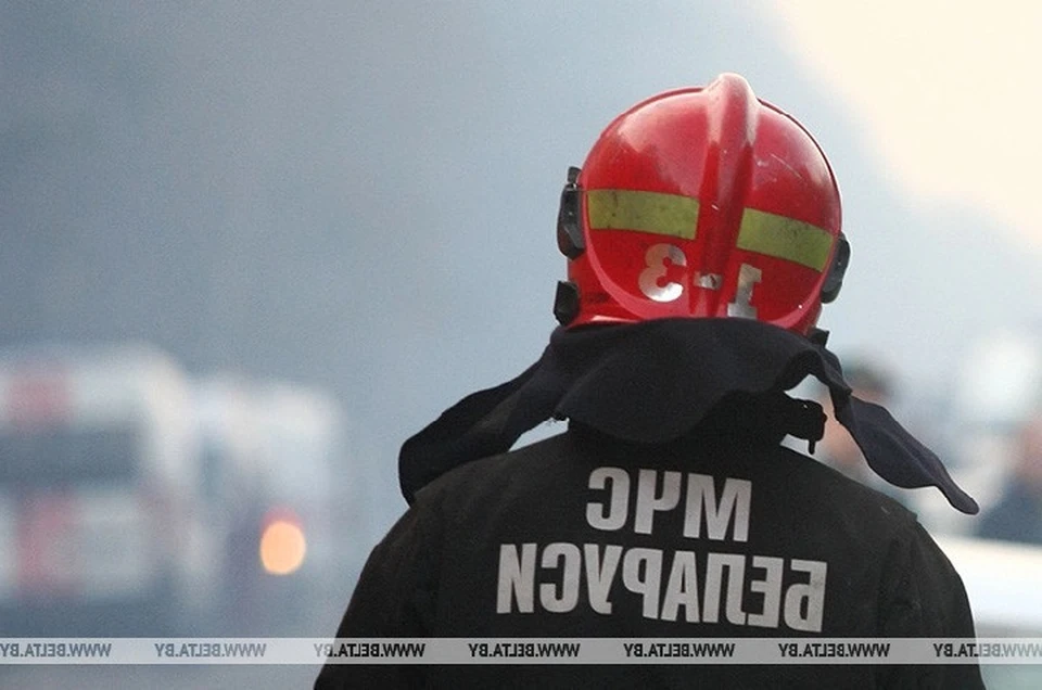 В Могилеве спасатели помогли спуститься застрявшему на высоте мужчине. Фото: архив БелТА.