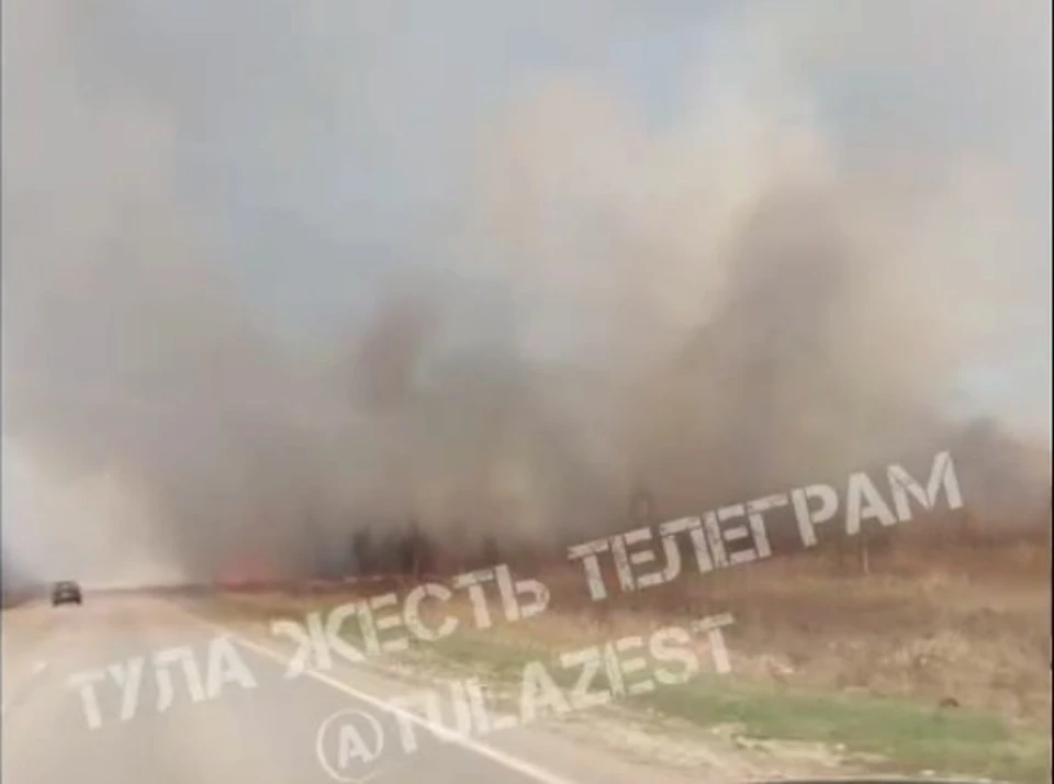 105 туляков с начала года наказали за пал травы. Фото: "Тула Жесть".