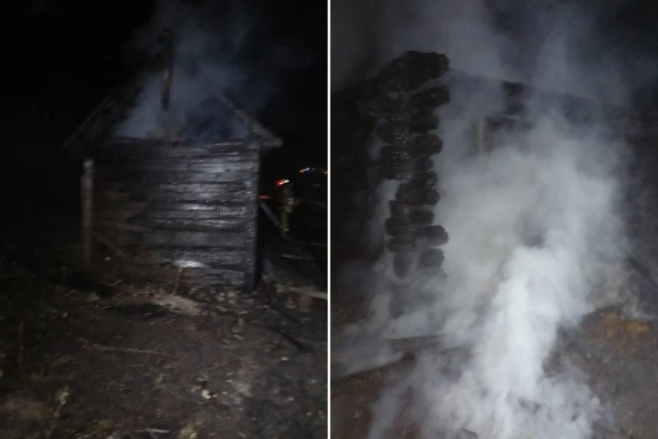 Во время пожара пострадал жить дома. Фото: ГКУ СО ЦЕНТР ПО ДЕЛАМ ГО, ПБ и ЧС.