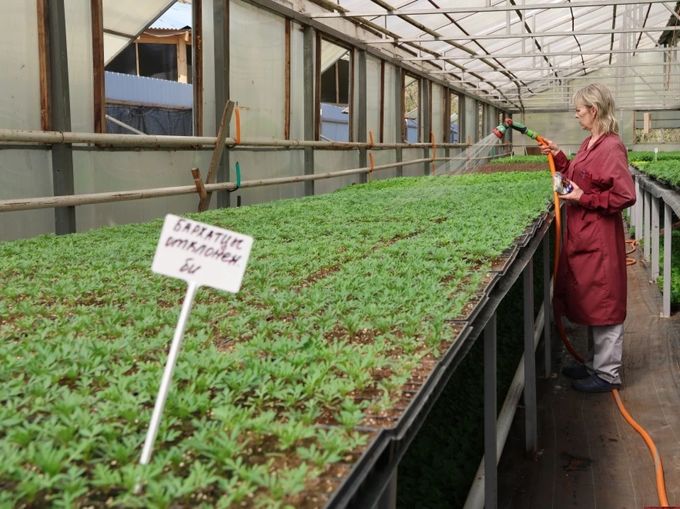 Фото с сайта администрации города Владимира.