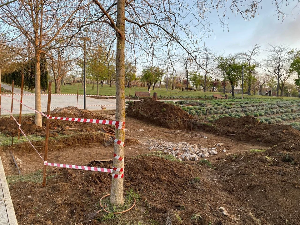 Фото: пресс-служба правительства Севастополя