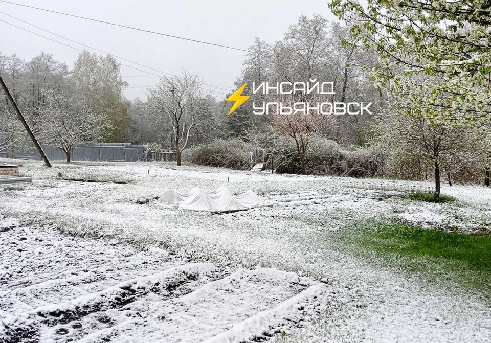 Фото: соцсети