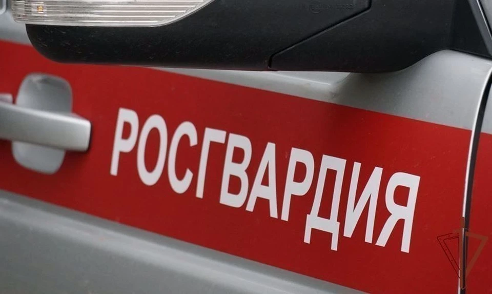 В Туле росгвардейцы быстро нашли пропавшую 13-летнюю девочку.