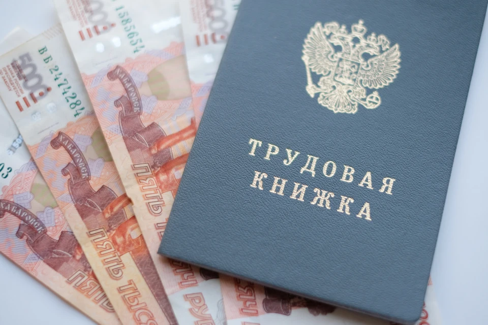 Уровень безработицы в Северной столице низкий.