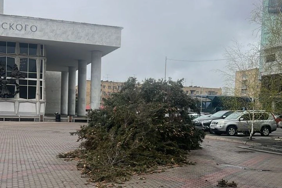 Фото: МАУ «Красгорпарк»