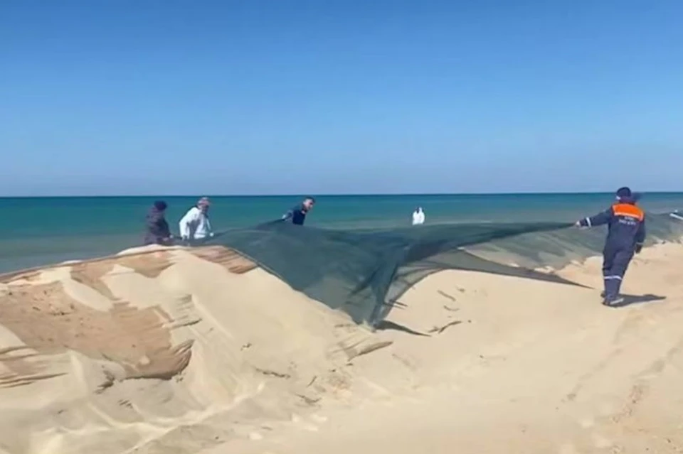 Фото: скриншот видео оперштаба Кубани