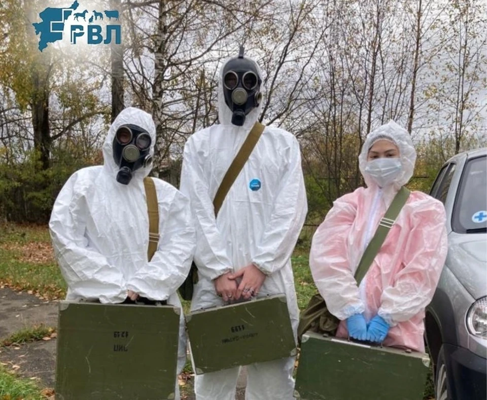 В Коми ветеринары работают на протяжении всех майских праздников. Фото: Минсельхоз Коми.