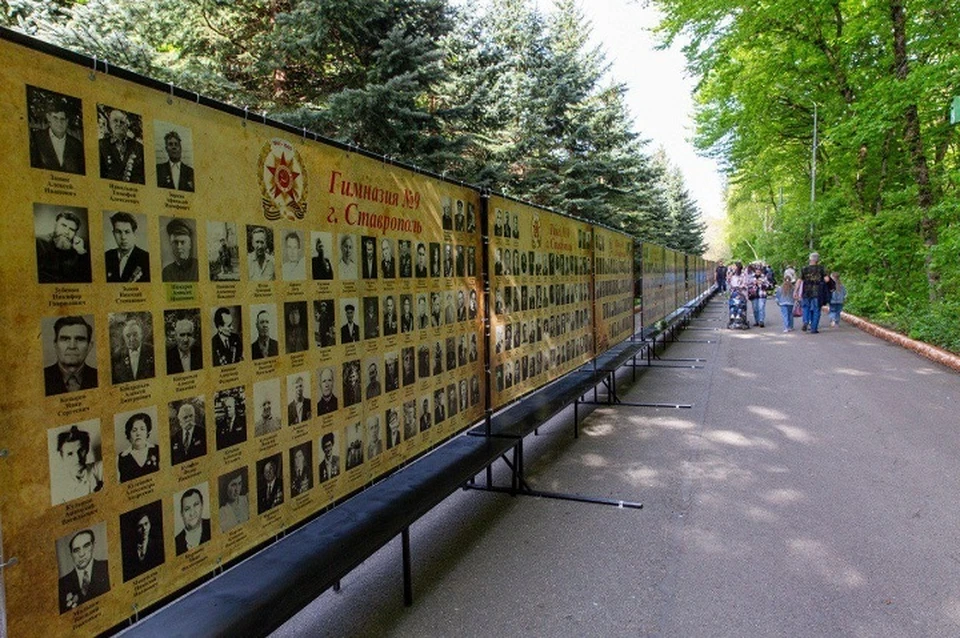 Горожане принесли более 250 фото героев Великой Отечественной войны и 80 снимков участников СВО. Фото: пресс-служба администрации города.