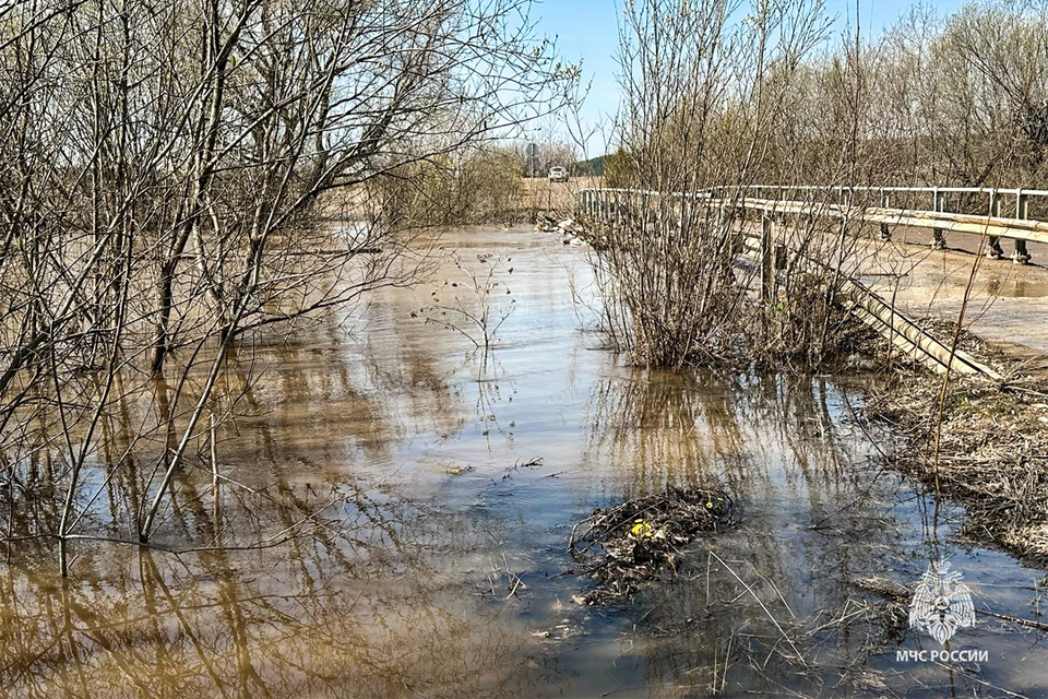Фото: ГУ МЧС по Пермскому краю