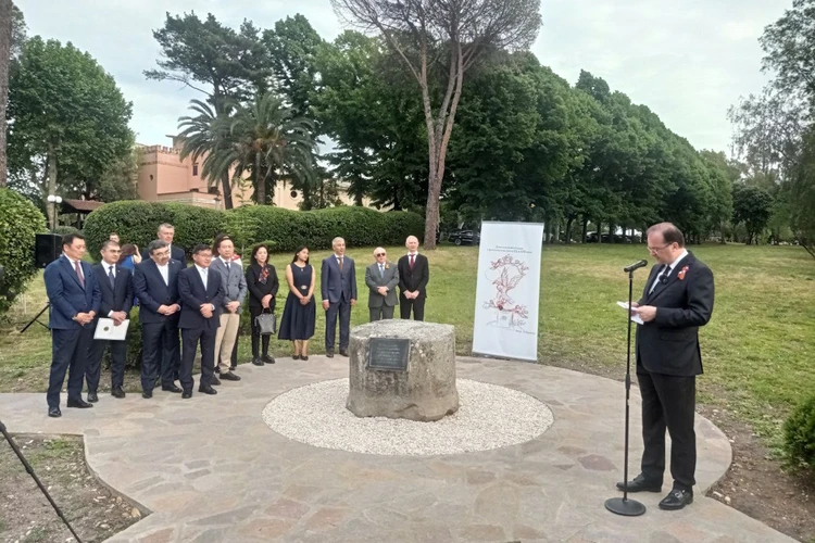 Крымские сосны вырастут в Риме: прошла посвященная 80-й годовщине Победы акция «Аллея памяти»